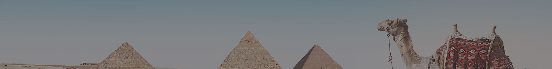 Egypte reis op maat - Kingfisher Tours